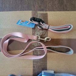 Girl Dog Accessories 