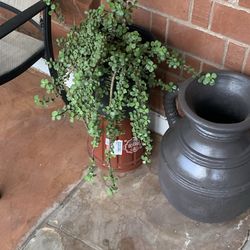 Plantas Garden Patio porch sanctuary