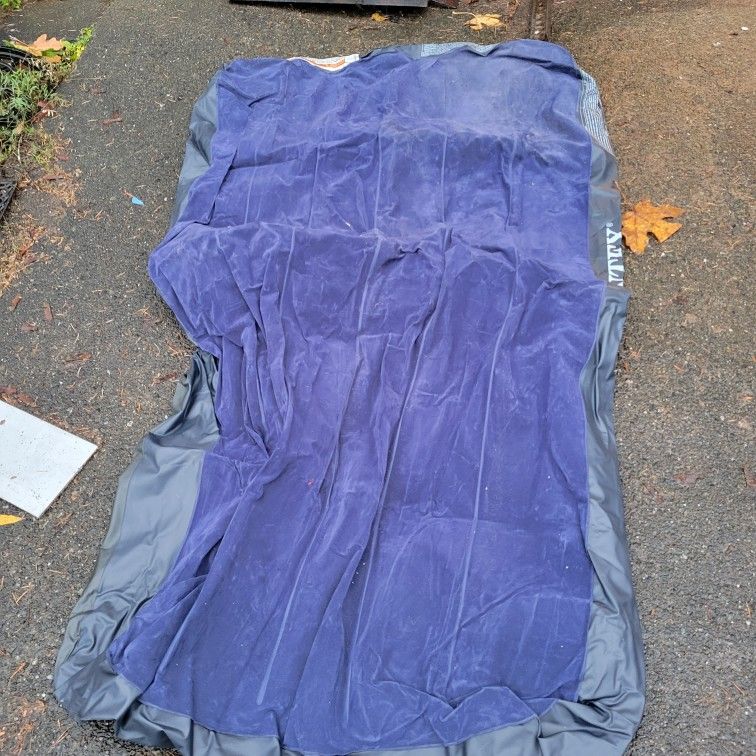 Free Air Mattress Twin 