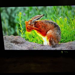 TV Hisense 43 Inches With Remote No Box