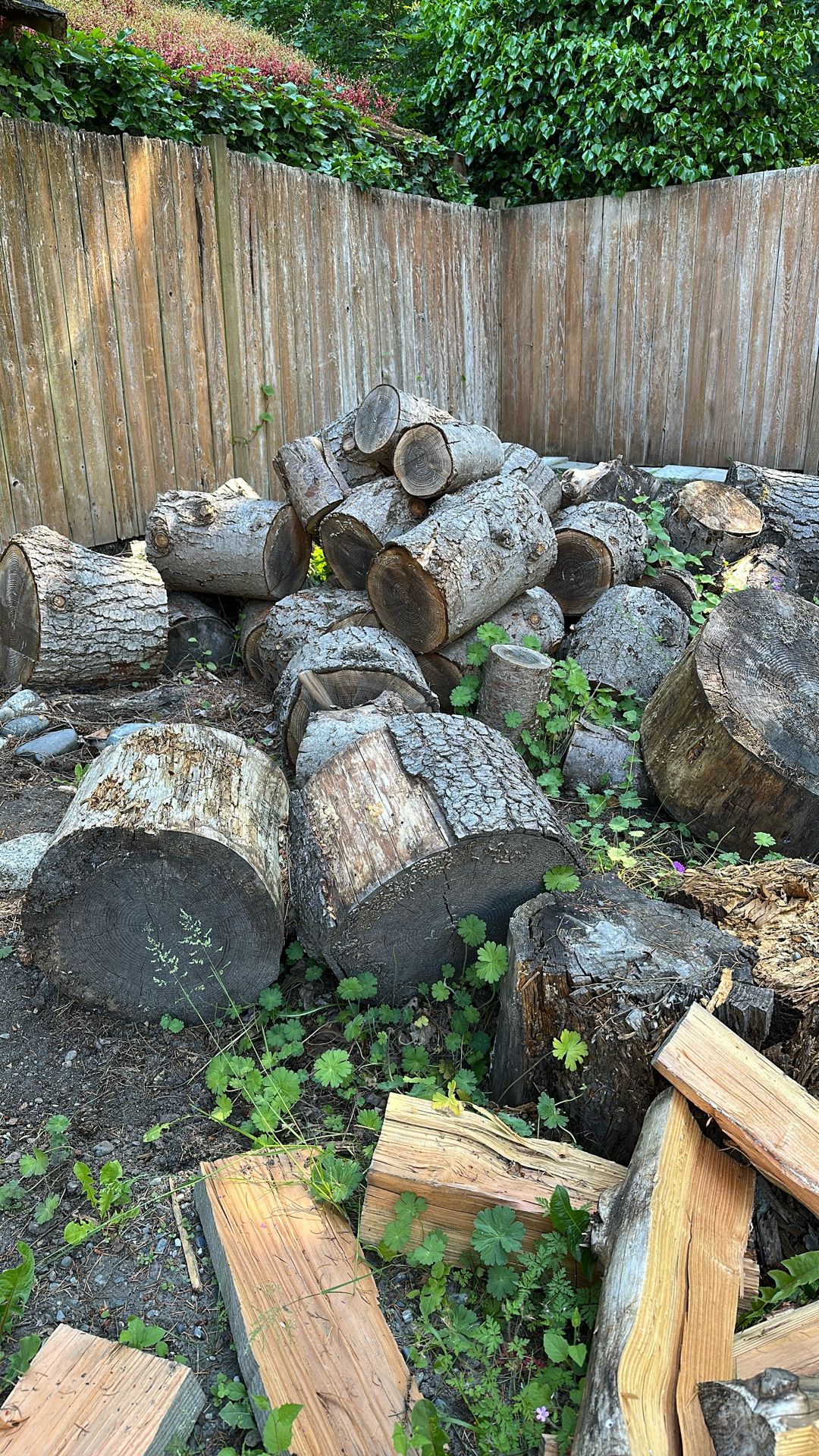 Free Log For Firewood