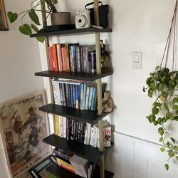 5 Shelf Ladder bookshelf  