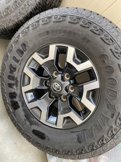2022 Tacoma Predator Tube Steps And TRD Off-road Wheels Tires