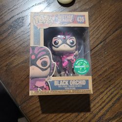 Black Orchid