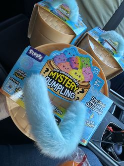 NEW VIRAL RAINBOW PLUSH DUMPLING