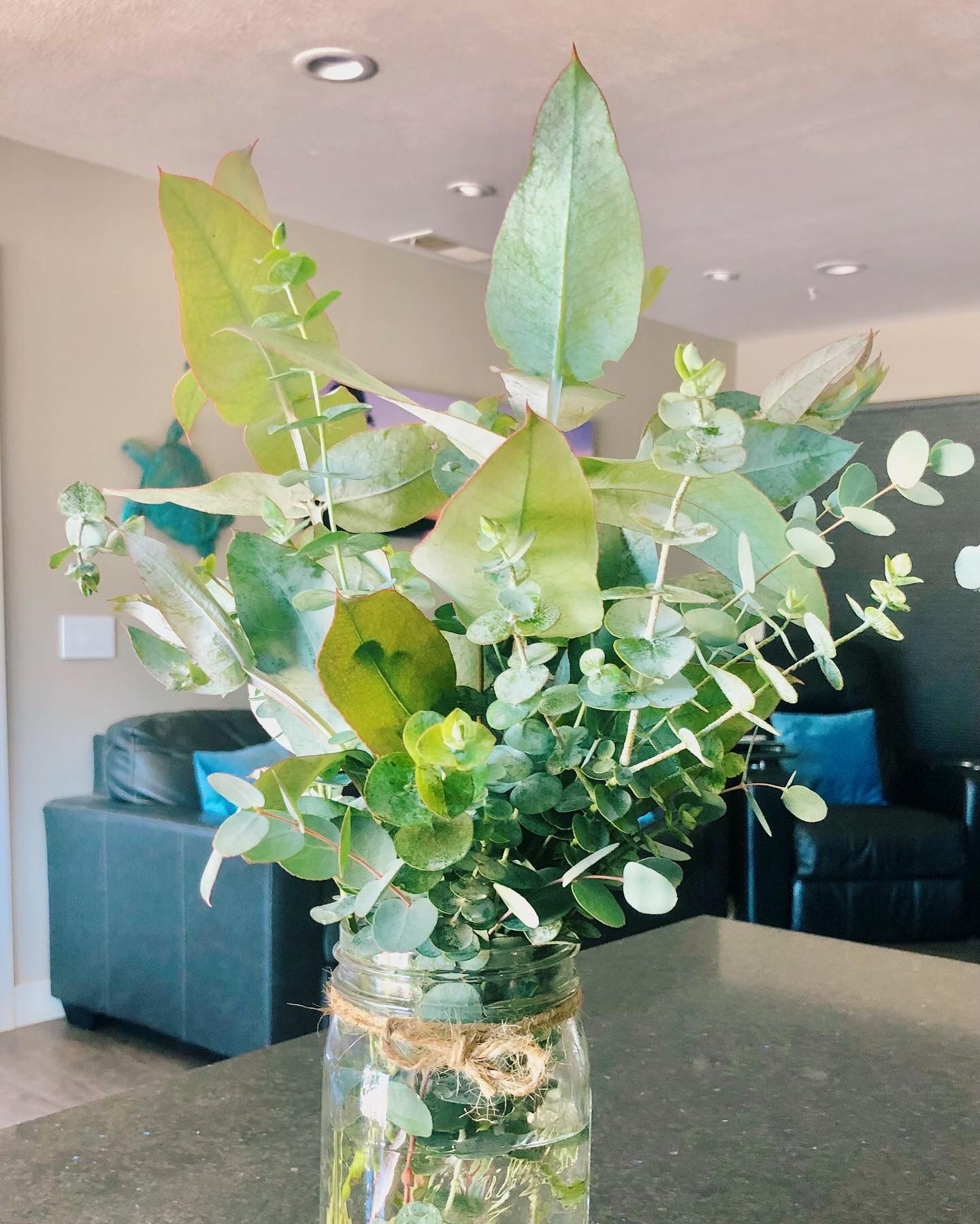 Small Eucalyptus Bouquet