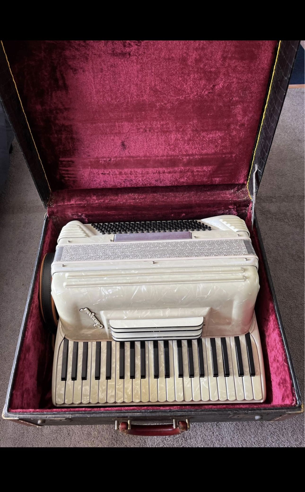 Piano Accordion 