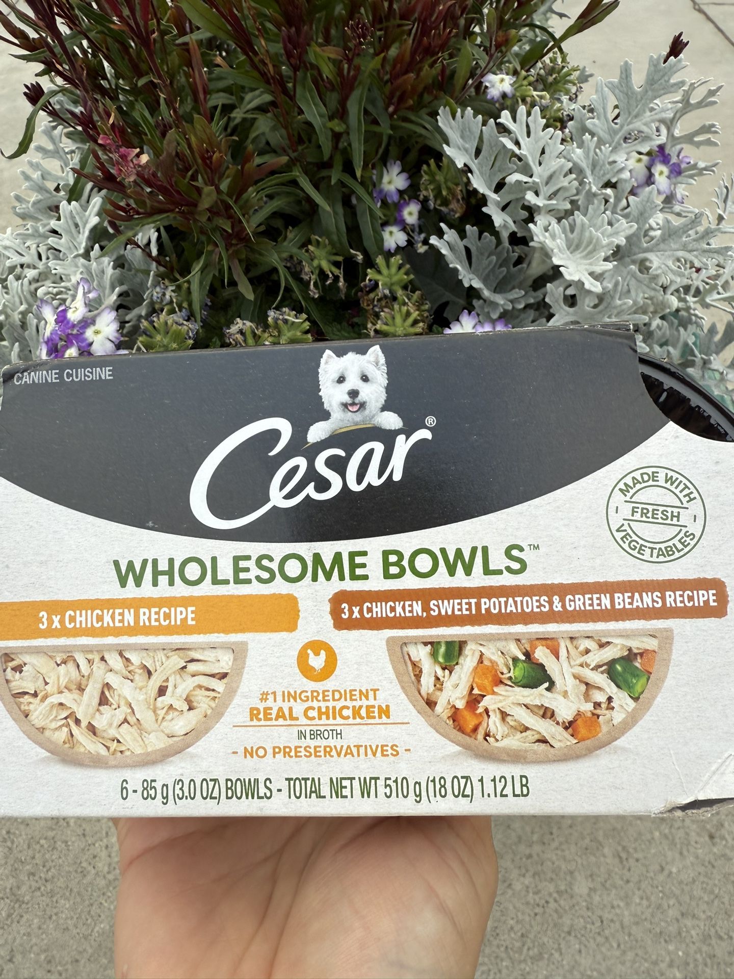 Dog Food