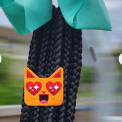 Girls Ponytail Extensions- Available In Different Colors ($20 Each) 