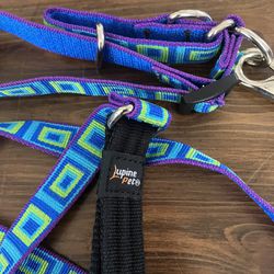 Brand New Lupine Pet Dog Collar And Leash