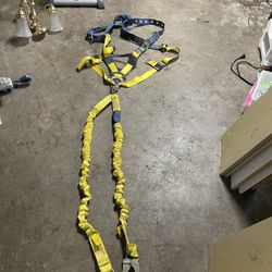 Harness