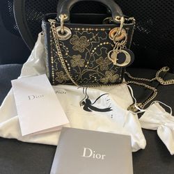 Dior lady bag mini