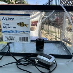 5 Gallon Aquarium Starter kit