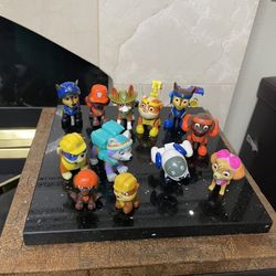 Paw Patrol . Set of 12