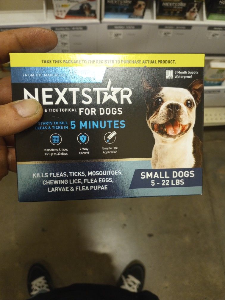 Next Door For Dogs