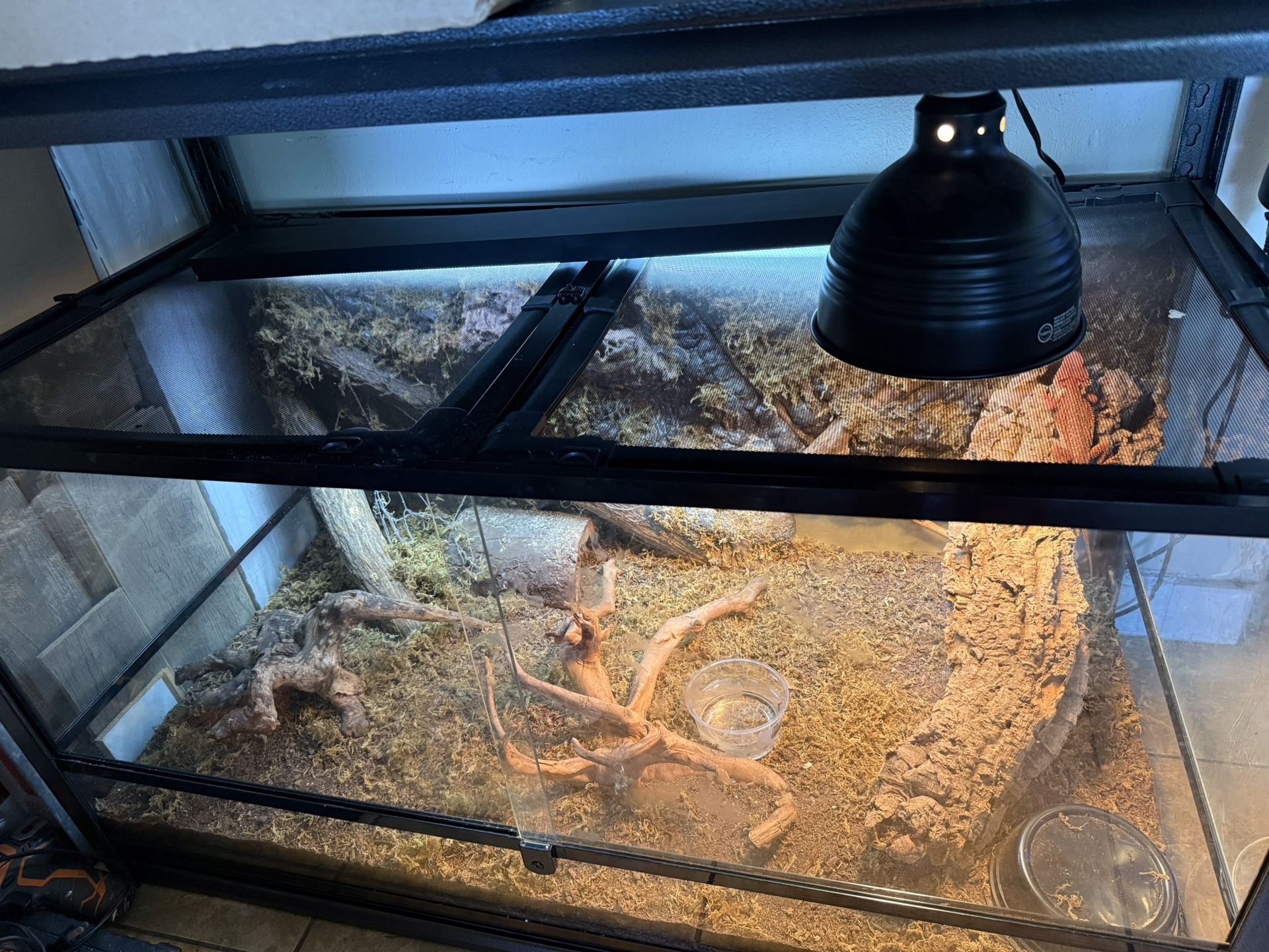 120 Gallon Bioactive Enclosure