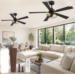 Lokivas 48” Black Caged Farmhouse Ceiling Fan with LED Lights, 6-Speed Remote Control, 2 Pack