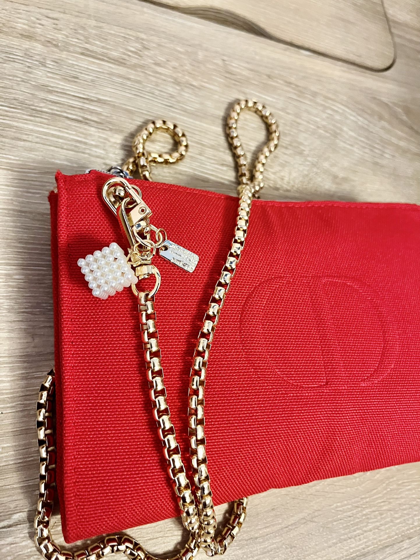 Dior Cosmetic Crossbody Bag