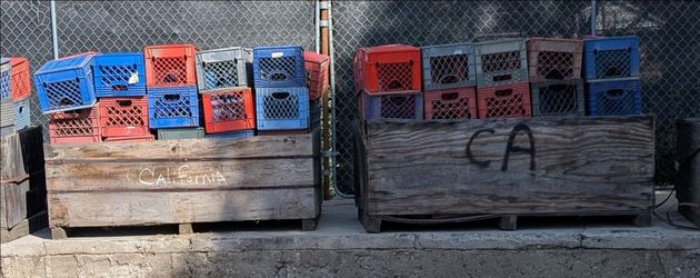 100 milk crates $100