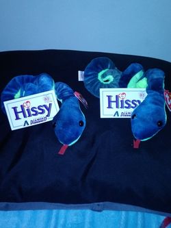 Hissy From Channel 3 News