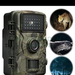 Trail hunting camera