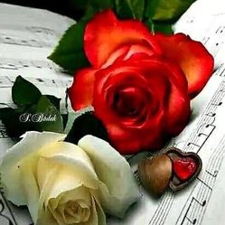 Piano Lessons 