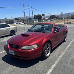 2003 Ford Mustang
