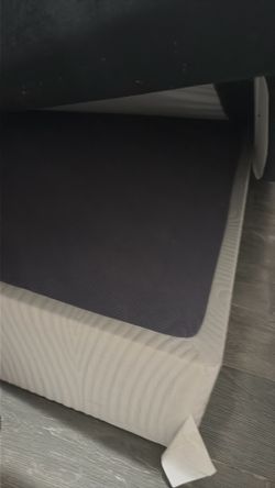 ZINUS Edgar 8” Bamboo Box Spring – King