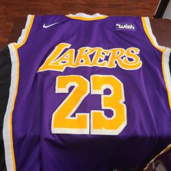  LeBron James Los Angeles Lakers NBA Jersey Brand New Purple Yellow  Size 48