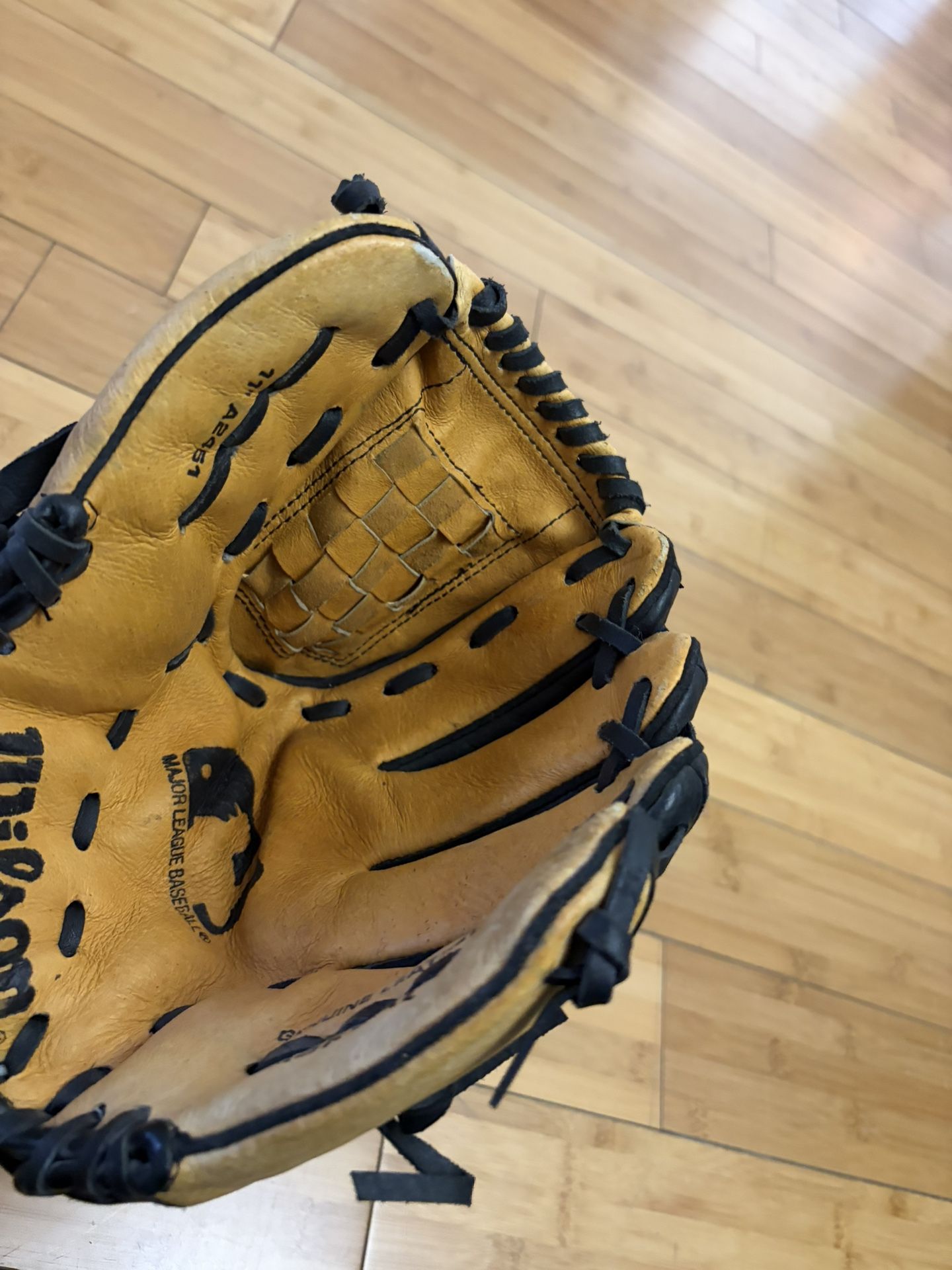 Baseball Glove