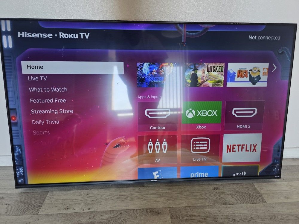 65in Roku Smart TV