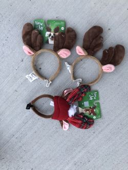 Pet antlers
