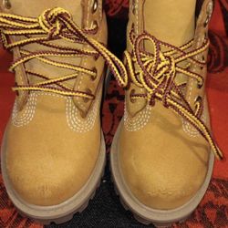 6c TimberLands 