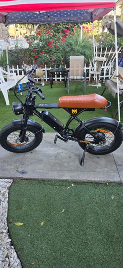 Electric bike/bicicleta electrica