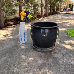 Pot
