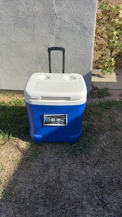 Igloo cube cooler