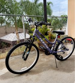 Purple Bike