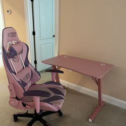 Computer Chair and Free Desk