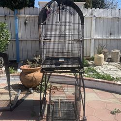 Bird cage
