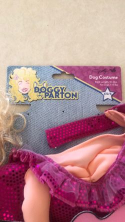 Dolly Parton pet Costume