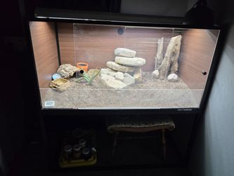 Reptile enclosure