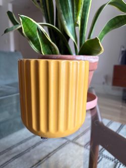 Ribbed mustard yellow Planter Pot (4.5")