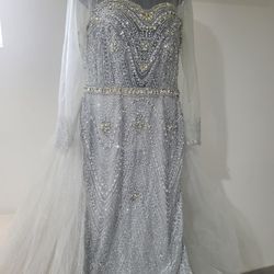 Silver Sparkly Dress With Deatachable Back 