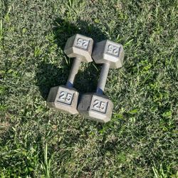 Pair Of 25lb Hex Handweights Dumbells Dumb Bells Workout Weights