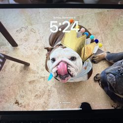 iPad Pro 