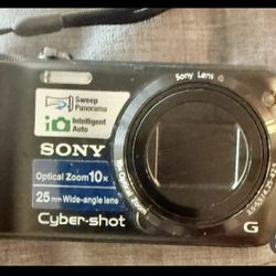 Sony Cyber-Shot DSC-H55 14.1MP 10x Optical Zoom Digital Camera 