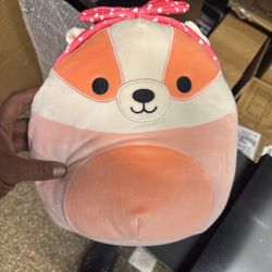 Squishmallow 8" Rostam the Badger Valentines Day 2025 NWT