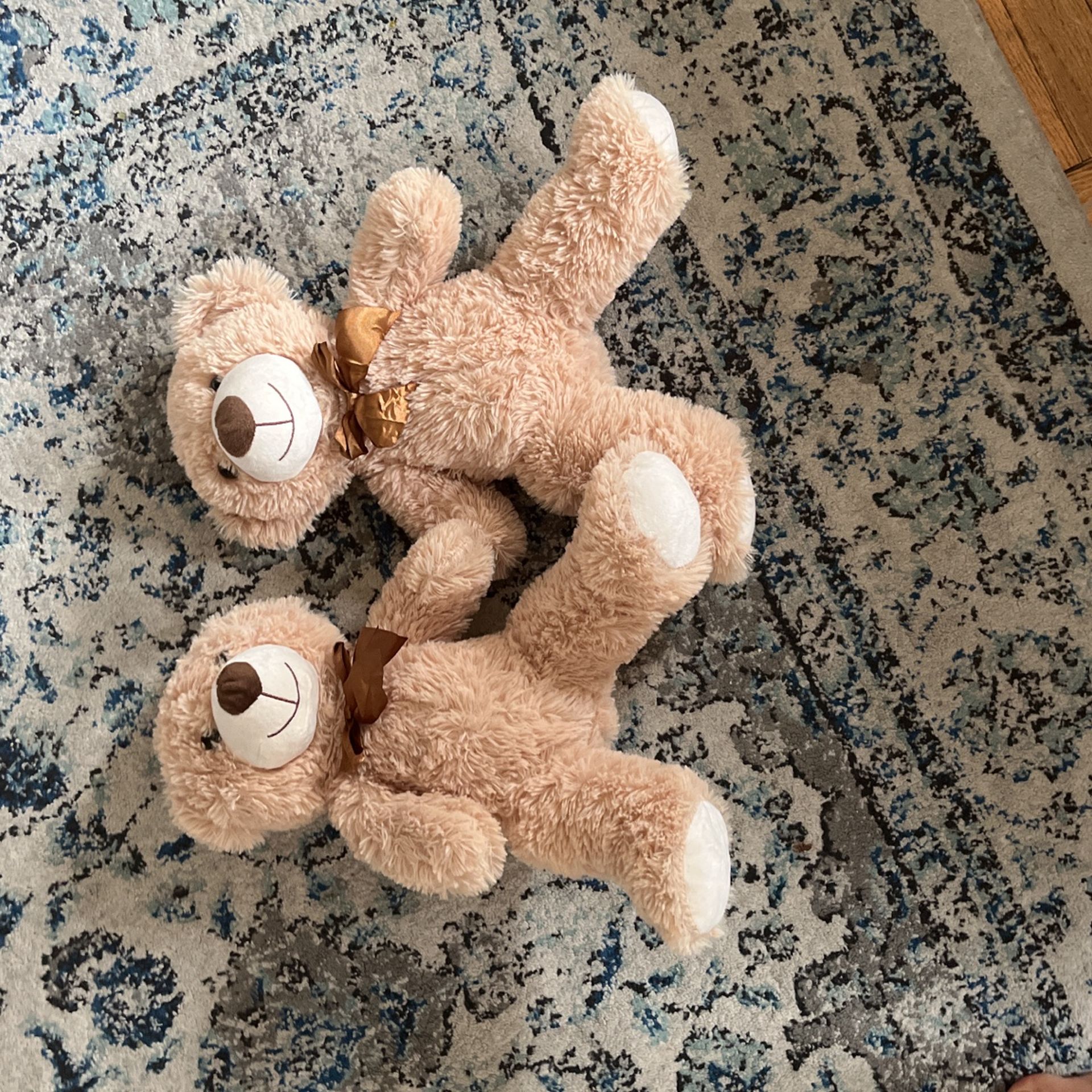 2 Pack Teddy Bears