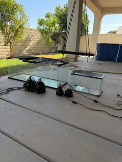 60 and 10 gallon reptile terrarium
