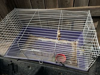 Hamster cage